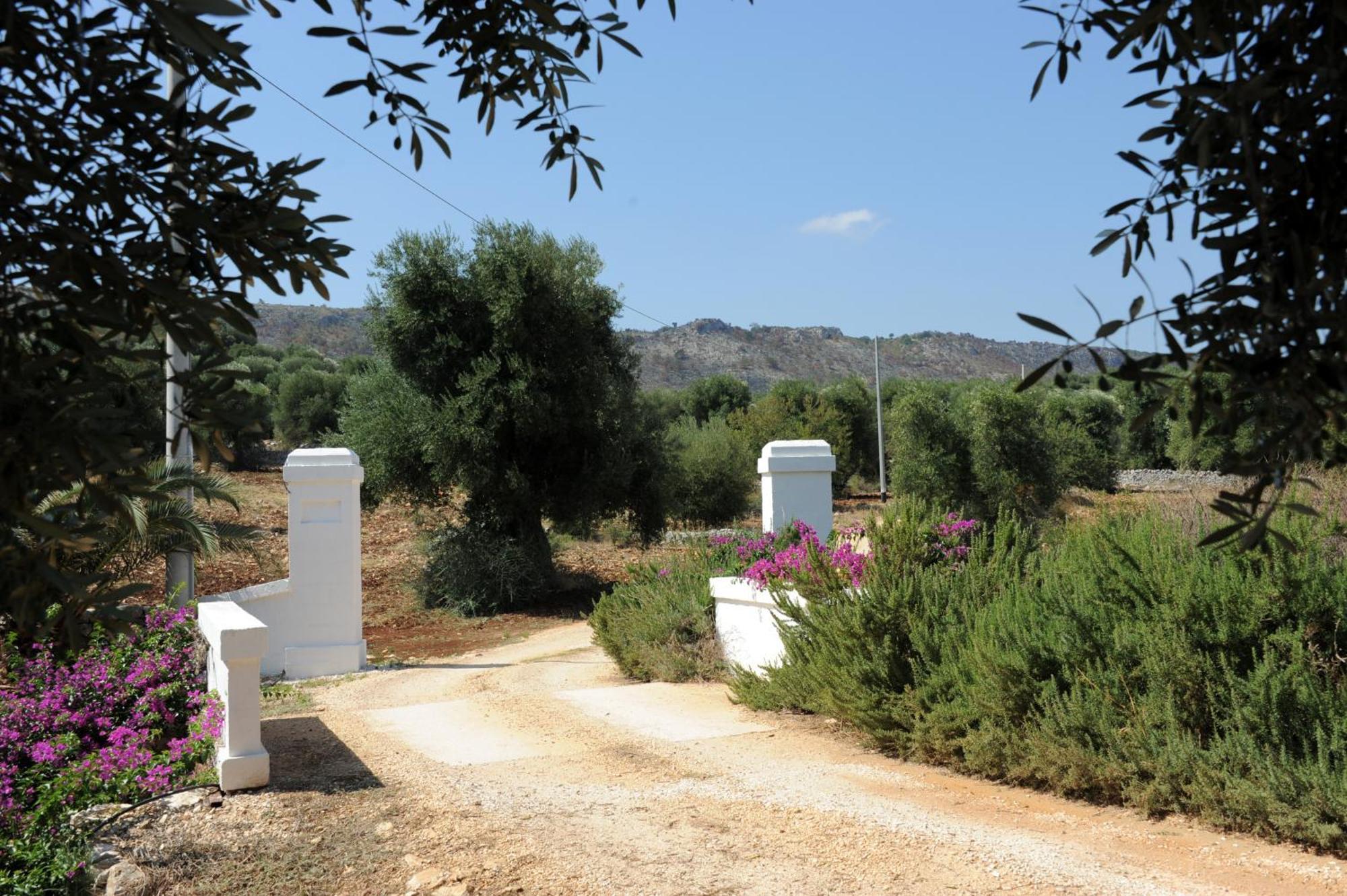 Masseria Lama Di Galizia أوستوني المظهر الخارجي الصورة