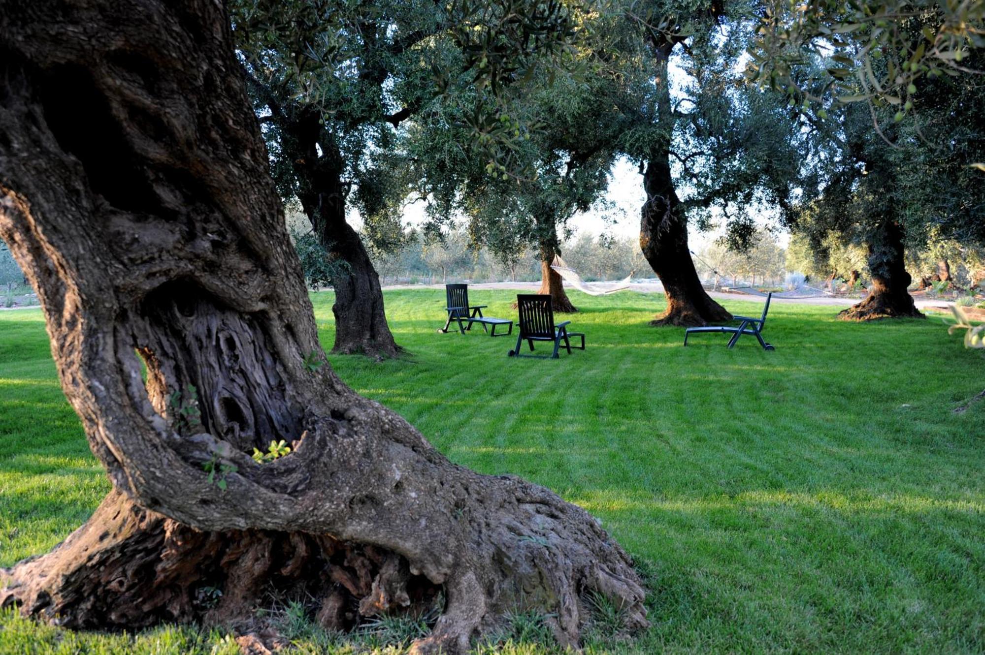 Masseria Lama Di Galizia أوستوني المظهر الخارجي الصورة