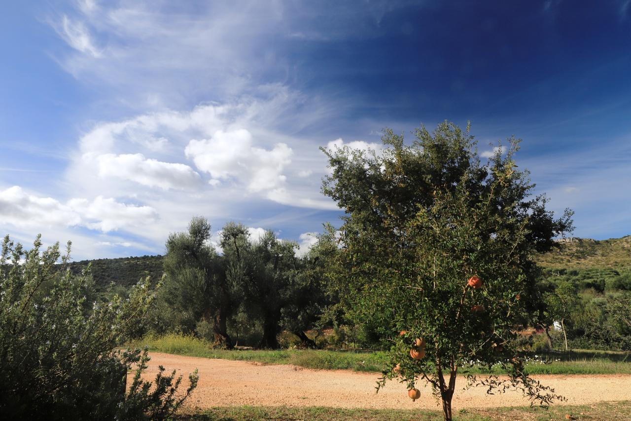 Masseria Lama Di Galizia أوستوني المظهر الخارجي الصورة
