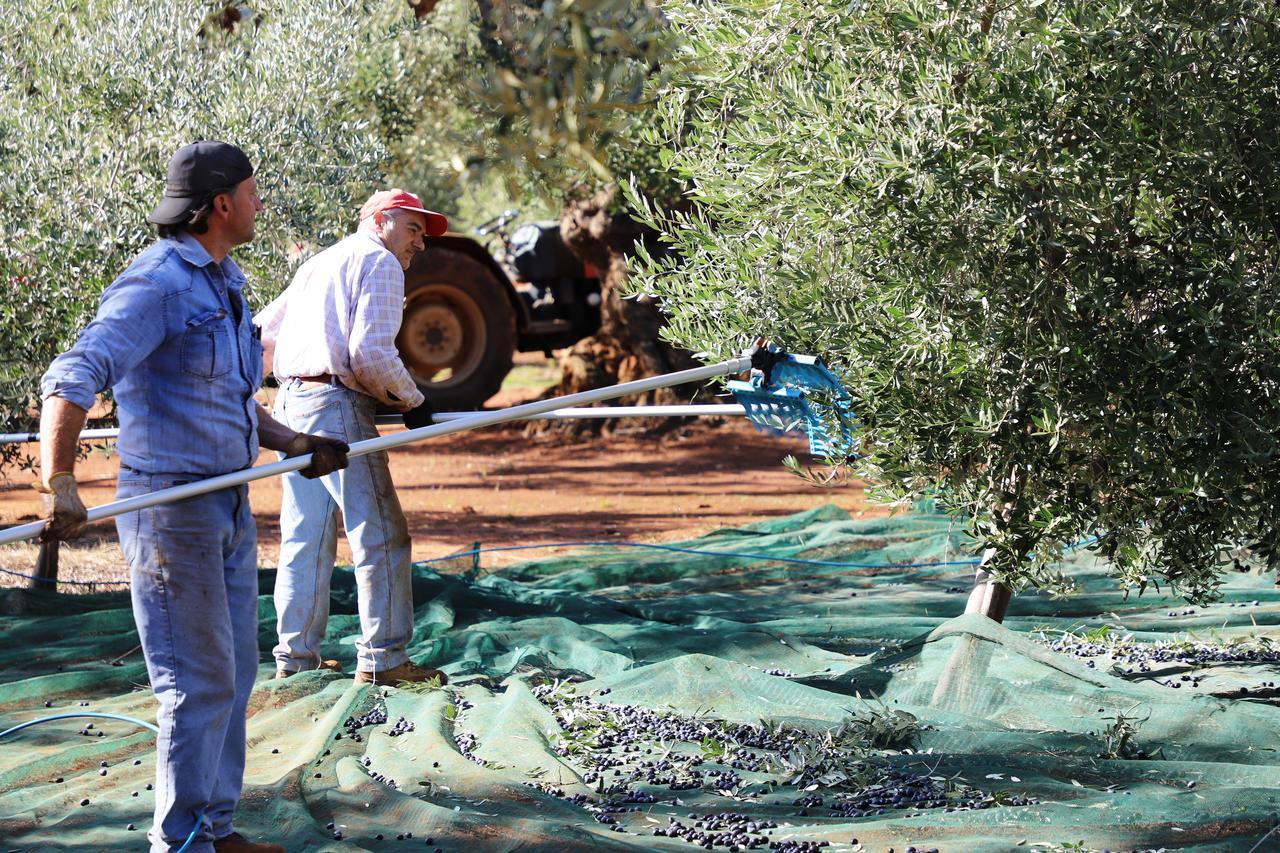 Masseria Lama Di Galizia أوستوني المظهر الخارجي الصورة